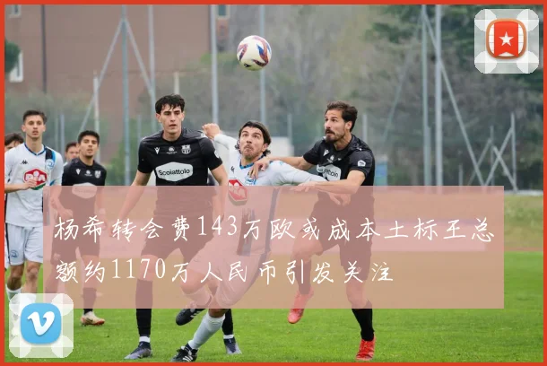 杨希转会费143万欧或成本土标王总额约1170万人民币引发关注