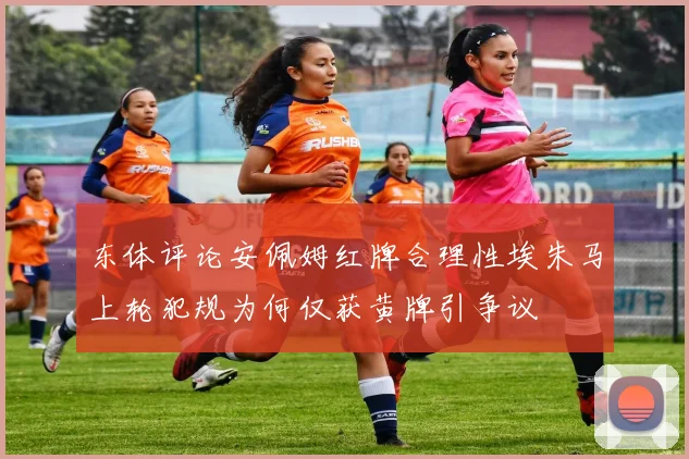 东体评论安佩姆红牌合理性埃朱马上轮犯规为何仅获黄牌引争议